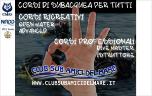 Club Sub mici del mare