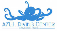 Love Bubble Social Diving logo